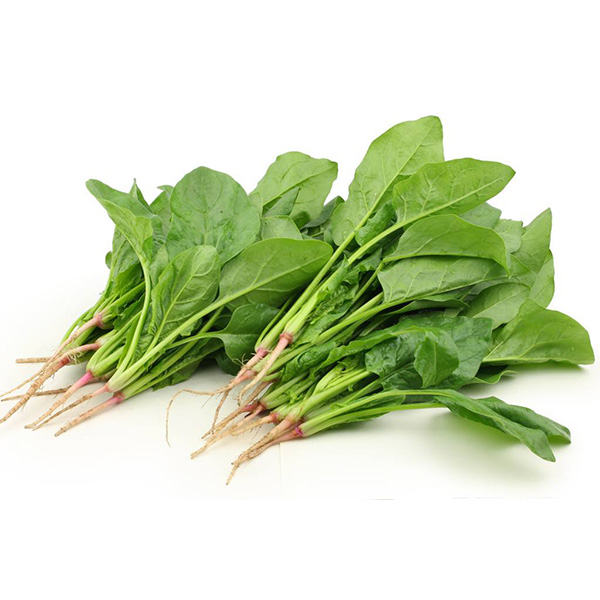 深圳送菜公司教您挑选菠菜