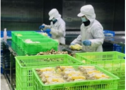 伟泰发送菜行业前瞻：净菜加工会成为下一个风口吗？
