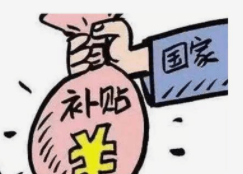 伟泰发知识点：一家蔬菜企业能得到哪些ZF部门的补贴