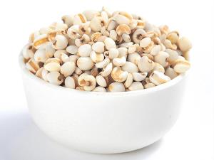宝安送菜公司讲解薏米的食用价值和挑选薏米的技巧