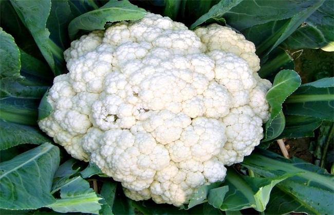 f157c84e81d04c9cf8d96fa34a4c1cbc.jpeg f157c84e81d04c9cf8d96fa34a4c1cbc.jpeg