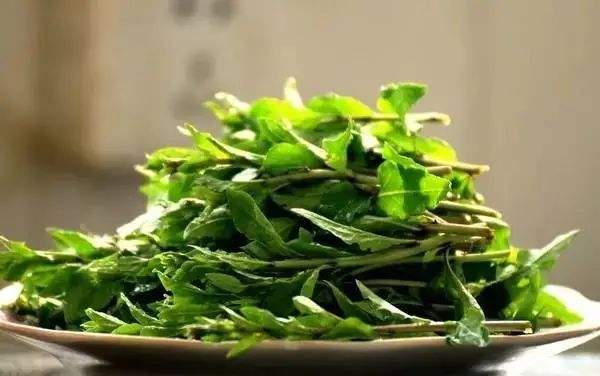 9b57ada2292adca00a6e24b017a17074.jpeg 9b57ada2292adca00a6e24b017a17074.jpeg