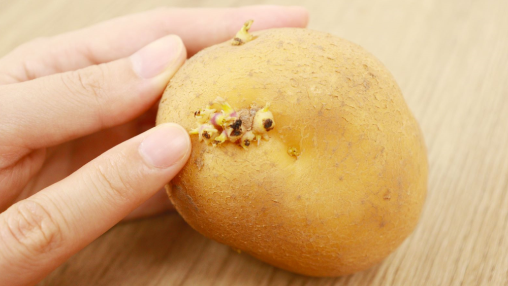 82f60cf97329f81369fff65ca825d4b3.jpeg 82f60cf97329f81369fff65ca825d4b3.jpeg