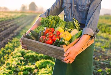 4494393c5edf4854805d854569a62e70.jpeg 4494393c5edf4854805d854569a62e70.jpeg