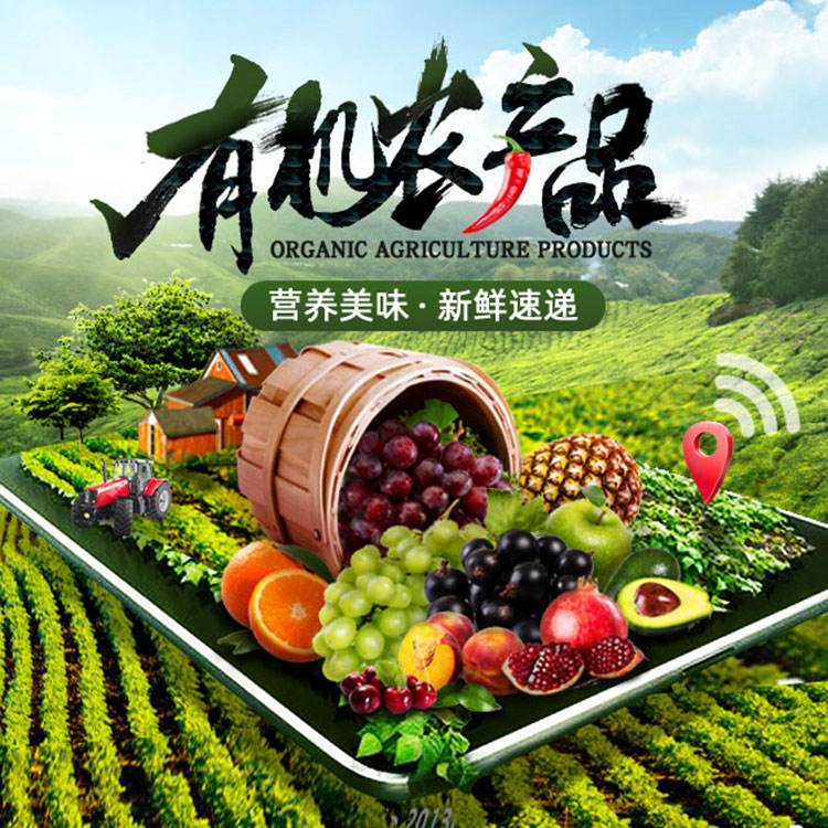 深圳农产品配送公司主要工作以及配送模式