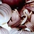 广州送菜公司带你详细认识小龙虾(图10)
