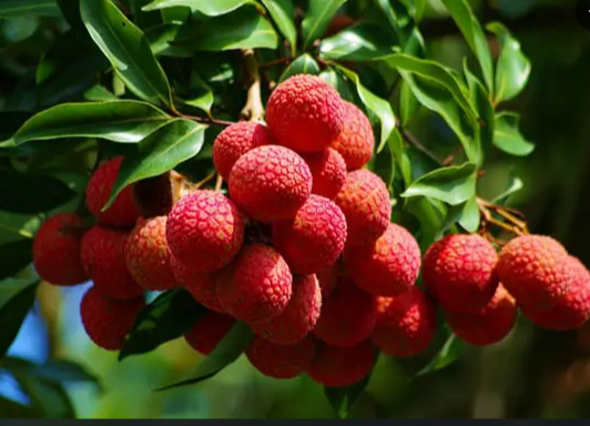 微信截图_20220718143337.png 微信截图_20220718143337.png