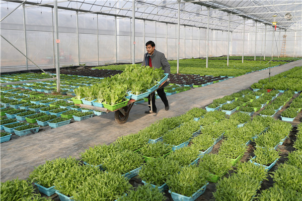 d1938f5a8482d4c3f8d0174d9e87a4bb.jpg d1938f5a8482d4c3f8d0174d9e87a4bb.jpg