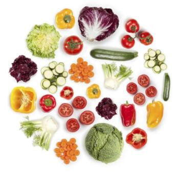 蔬菜种子的类型有哪几种?
