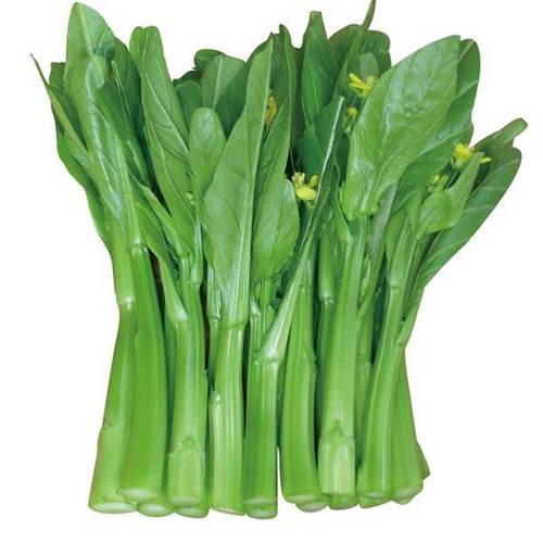 菜心_深圳市伟泰发餐饮管理有限公司