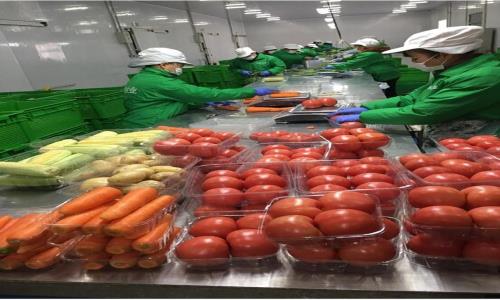 食材农产品配送怎么确保时效性