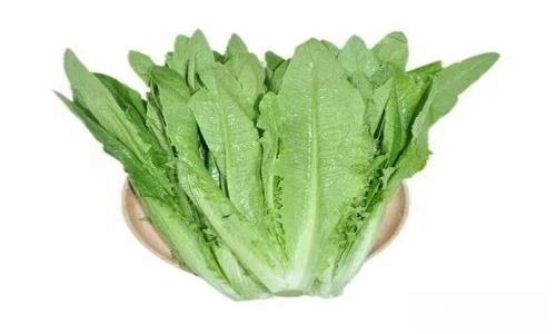 新鲜的菜和不新鲜的菜有什么区别