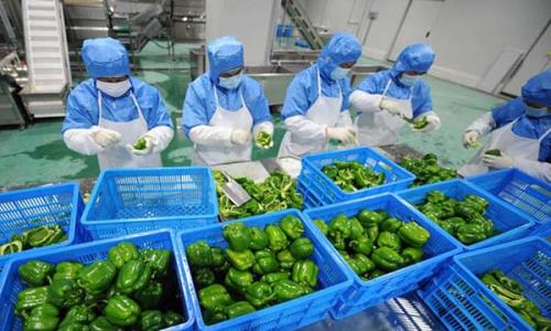 深圳蔬菜配送公司简析如何提高分拣效率
