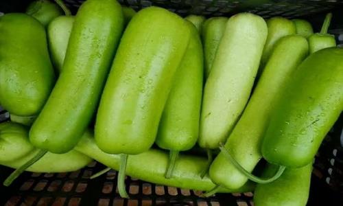 食堂品控实操指南：食材验收、储存、加工全流程风险规避
