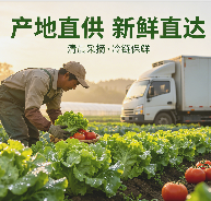 产地直供，解锁蔬菜新鲜新高度——从田间到餐桌的鲜度守护