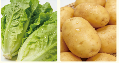 蔬菜分类储存指南，告别浪费更省心